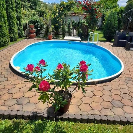 Haţeg Casa Ioana 빌라 외부 사진