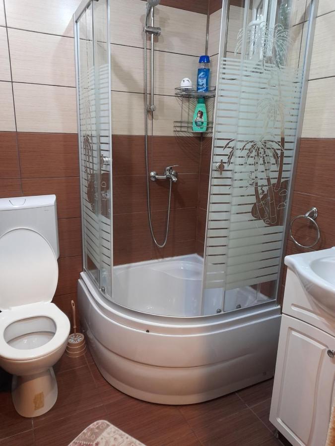 Haţeg Casa Ioana 빌라 외부 사진