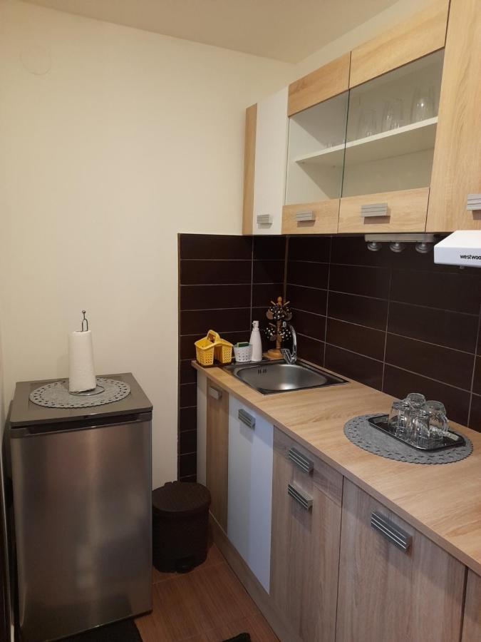 Haţeg Casa Ioana 빌라 외부 사진