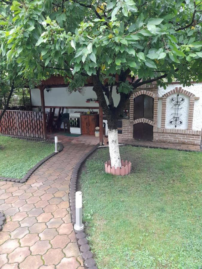Haţeg Casa Ioana 빌라 외부 사진