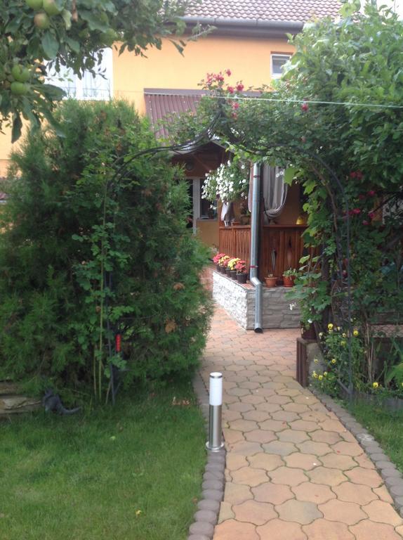 Haţeg Casa Ioana 빌라 객실 사진