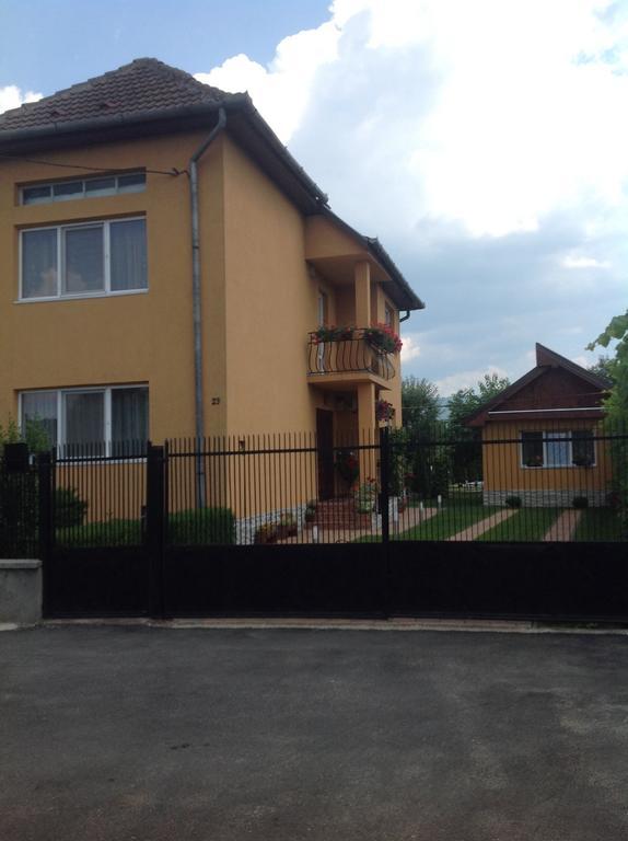 Haţeg Casa Ioana 빌라 객실 사진