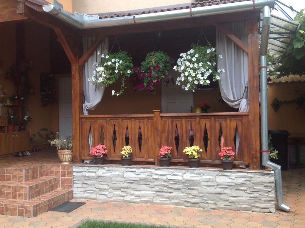 Haţeg Casa Ioana 빌라 객실 사진