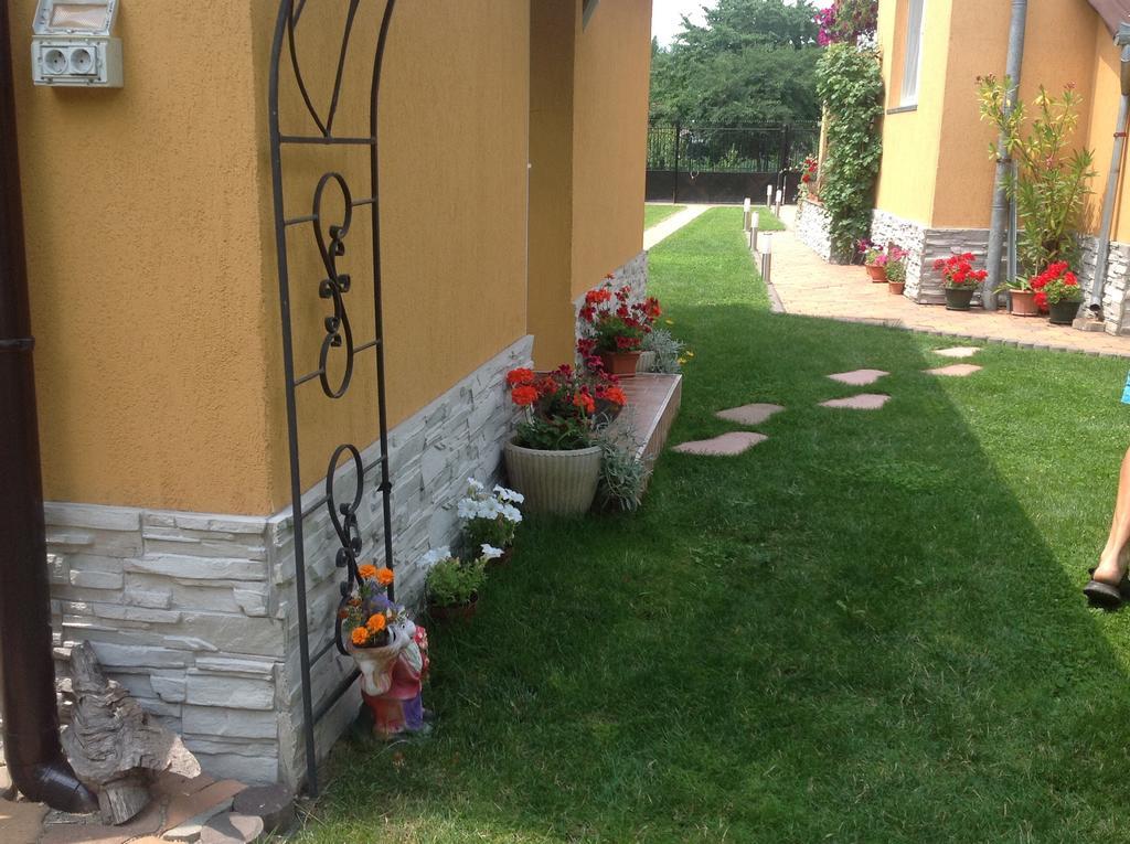 Haţeg Casa Ioana 빌라 객실 사진