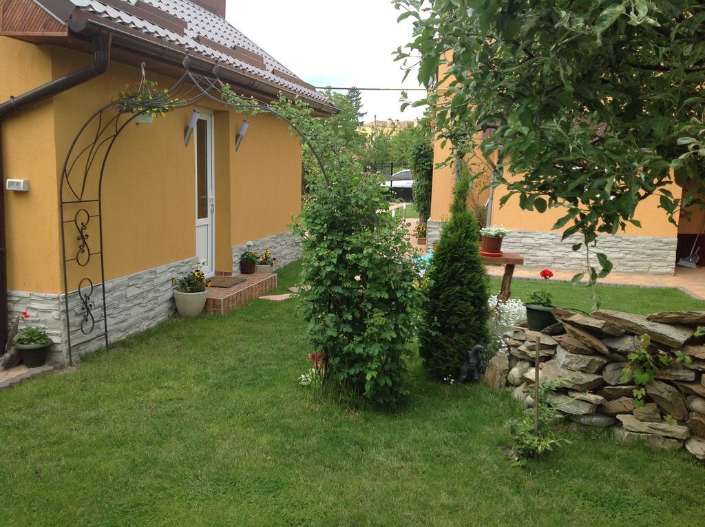 Haţeg Casa Ioana 빌라 객실 사진